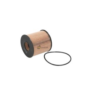 OE666/1 FILTRON OLAJSZŰRŐ